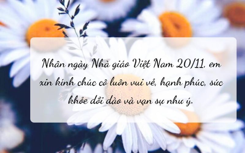 Lời chúc cô giáo mầm non 20/11 của bố mẹ