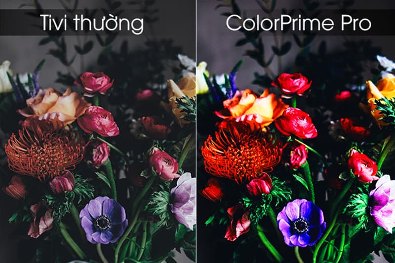 Công nghệ ColorPrime Pro đem đến những phân cảnh có màu sắc tươi sáng, sống động và chân thực.