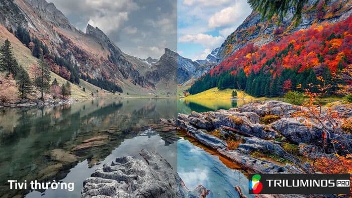 Công nghệ hình ảnh Triluminos Pro cho những khung hình sắc nét, rực rỡ chuẩn 4K