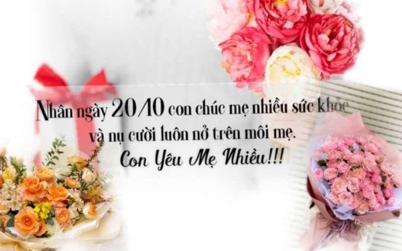 Dành tặng mẹ những lời chúc chân thành nhất nhân ngày 20/10 Dành tặng mẹ những lời chúc chân thành nhất nhân ngày 20/10