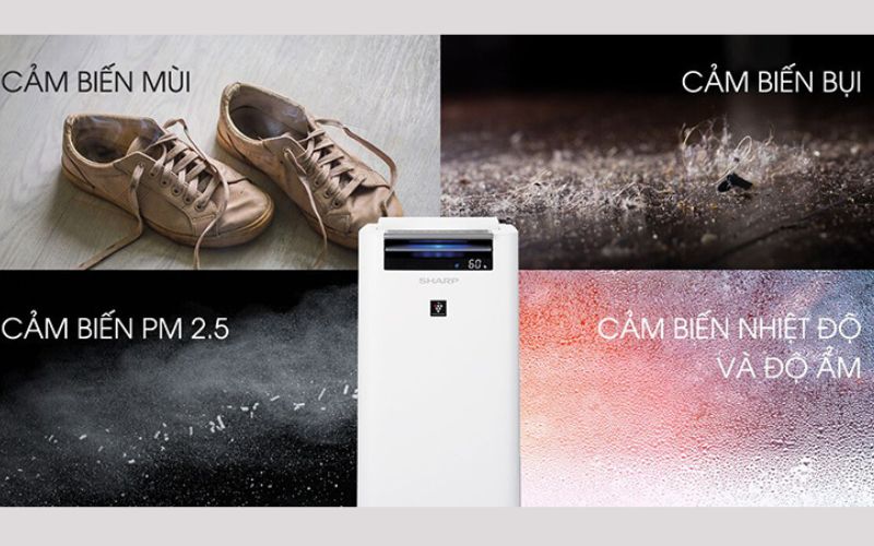 Cảm biến thông minh Auto Mode tự động điều chỉnh chế độ hoạt động Cảm biến thông minh Auto Mode tự động điều chỉnh chế độ hoạt động