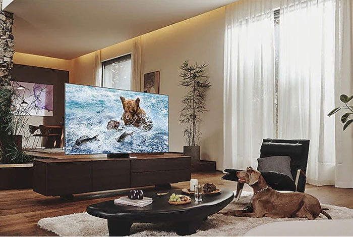 Smart Tivi Neo QLED 8K 55 inch Samsung QA55QN700B