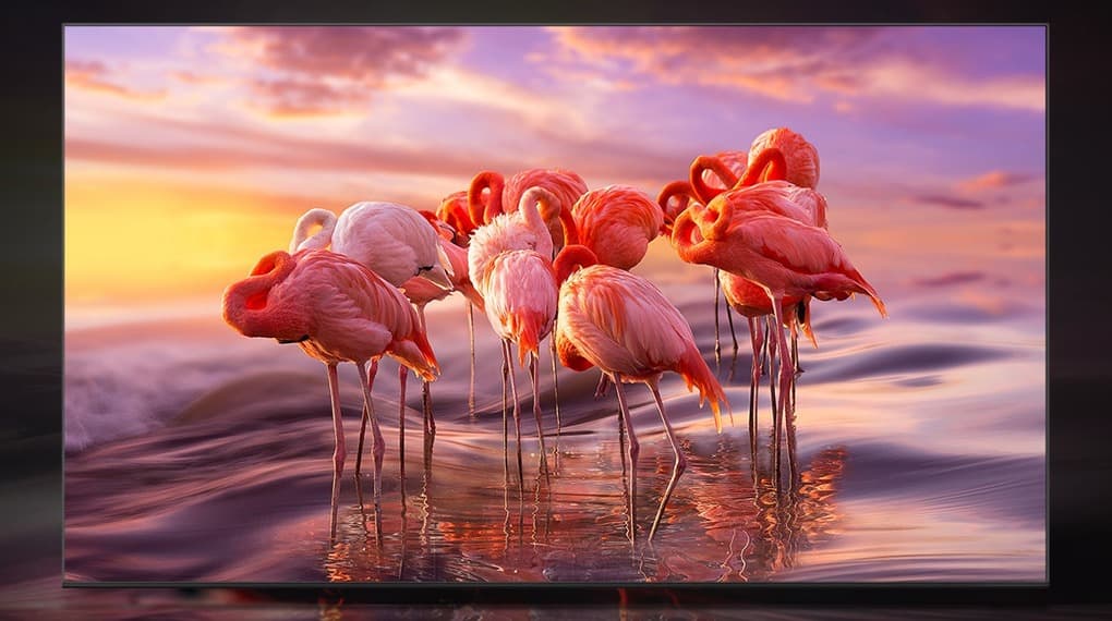 Độ phân giải 4K và bộ xử lý Quantum Lite 4K tạo độ sắc nét cho hình ảnh Độ phân giải 4K và bộ xử lý Quantum Lite 4K tạo độ sắc nét cho hình ảnh