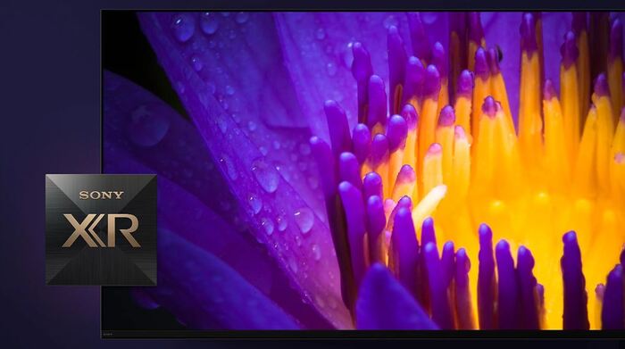 Tivi với độ phân giải Ultra HD 4K cùng bộ xử lý trí tuệ nhận thức XR Cognitive đã tạo nên những khung hình sắc nét đến từng chi tiết