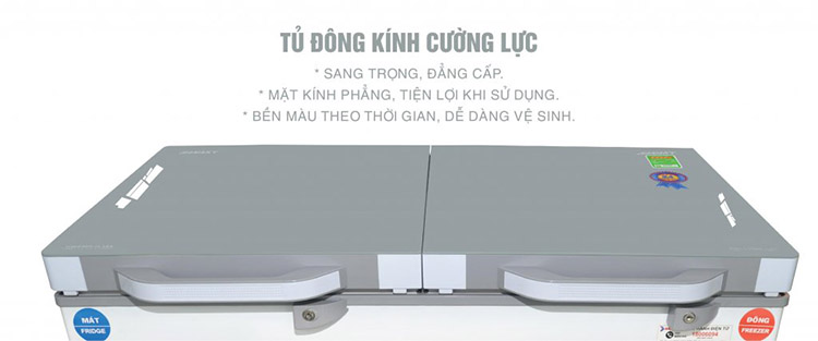 Tủ đông Sanaky 400 lít 2 cánh 2 ngăn VH-4099W2KD Tủ đông Sanaky 400 lít 2 cánh 2 ngăn VH-4099W2KD