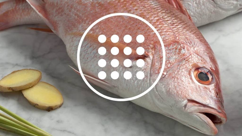 Công nghệ khử mùi kháng khuẩn TasteGuard cho thực phẩm luôn tươi ngon nguyên vị Công nghệ khử mùi kháng khuẩn TasteGuard cho thực phẩm luôn tươi ngon nguyên vị