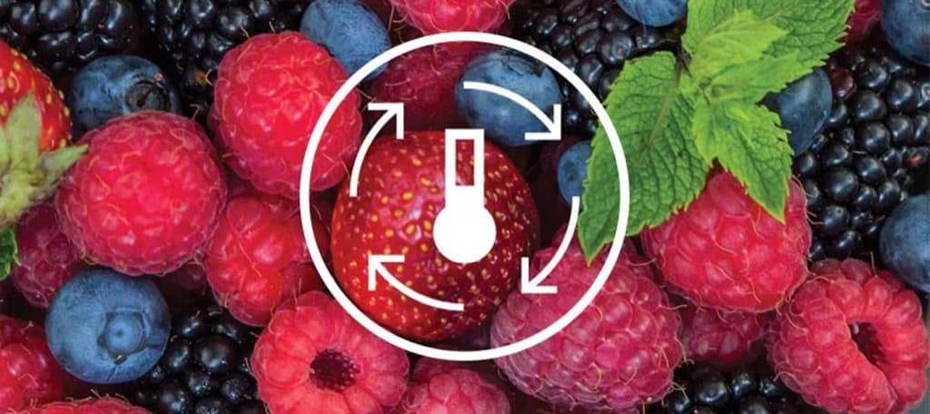 Công nghệ NutriFresh Inverter giảm thiểu tối đa năng lượng điện
