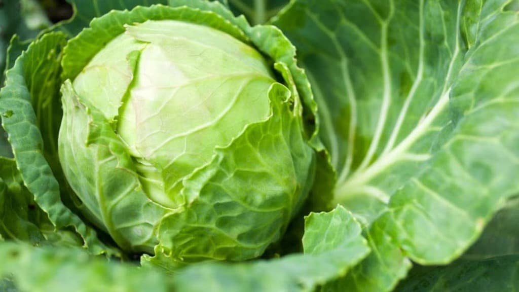  Ngăn TasteLock cung cấp độ ẩm thích hợp cho rau củ luôn tươi xanh 
