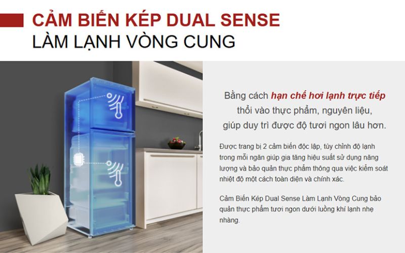 Công nghệ làm lạnh vòng cung Dual Sense đảm bảo độ lạnh đồng đều Công nghệ làm lạnh vòng cung Dual Sense đảm bảo độ lạnh đồng đều