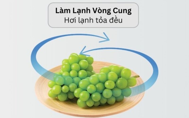 Hệ thống làm lạnh vòng cung giúp thực phẩm được bảo quản tươi ngon Hệ thống làm lạnh vòng cung giúp thực phẩm được bảo quản tươi ngon