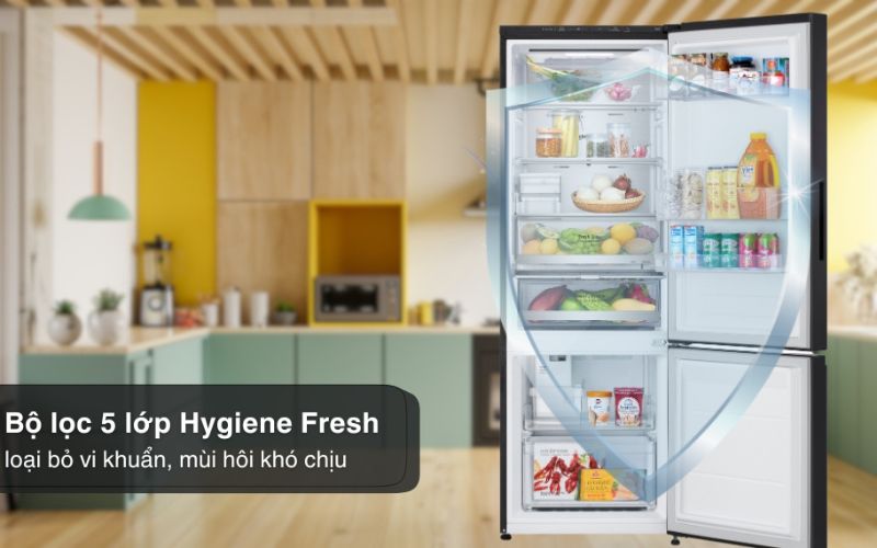  Bộ lọc 5 lớp Hygiene Fresh giữ tủ lạnh luôn thông thoáng