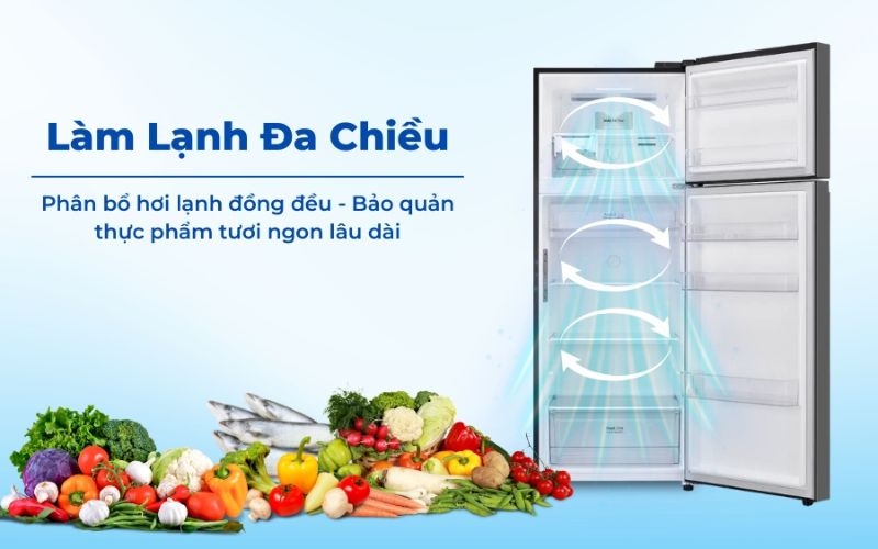 Công nghệ làm lạnh đa chiều giữ trọn độ tươi ngon, hương vị lâu dài Công nghệ làm lạnh đa chiều giữ trọn độ tươi ngon, hương vị lâu dài