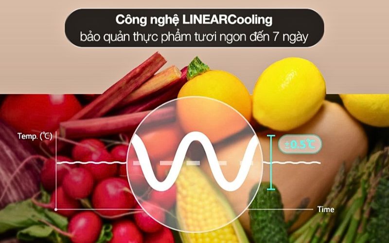  Các công nghệ hiện đại cung cấp môi trường bảo quản lý tưởng, giữ thực phẩm tươi ngon 