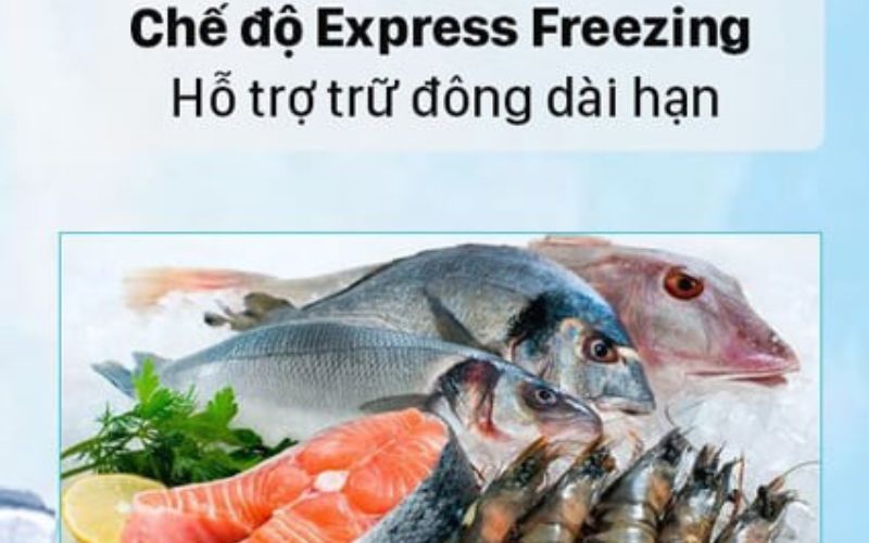  Ngăn Express Freeze cấp đông thực phẩm nhanh chóng, bảo toàn dinh dưỡng