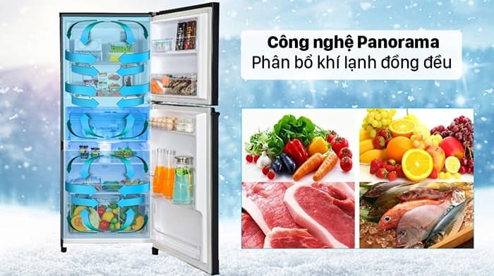 Tủ lạnh Panasonic 2 cánh Inverter 326L NR-TL351GPKV