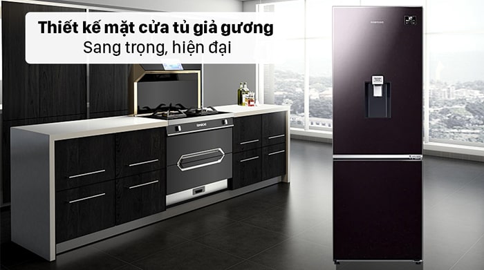 Tủ lạnh Samsung Inverter 307 Lít RB30N4190BY/SV