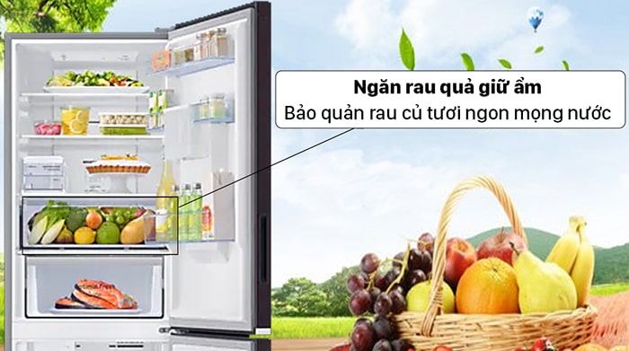 Tủ lạnh Samsung Inverter 307 Lít RB30N4190BY/SV