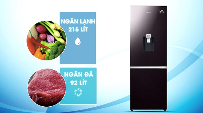 Tủ lạnh Samsung Inverter 307 Lít RB30N4190BY/SV