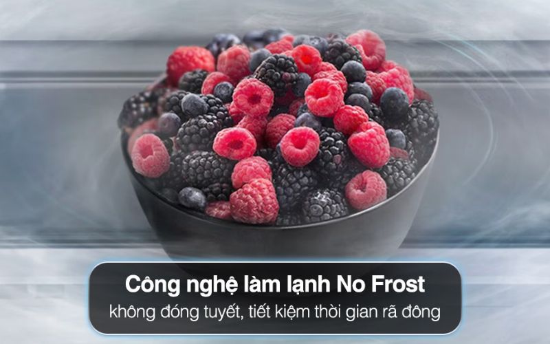 Công nghệ No Frost ổn định nhiệt độ, tránh hiện tượng đóng tuyết Công nghệ No Frost ổn định nhiệt độ, tránh hiện tượng đóng tuyết
