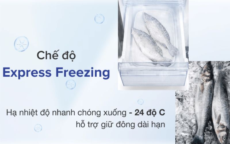 Công nghệ Express Freeze giúp tủ lạnh đạt nhiệt độ cực thấp chỉ trong 30 phút Công nghệ Express Freeze giúp tủ lạnh đạt nhiệt độ cực thấp chỉ trong 30 phút