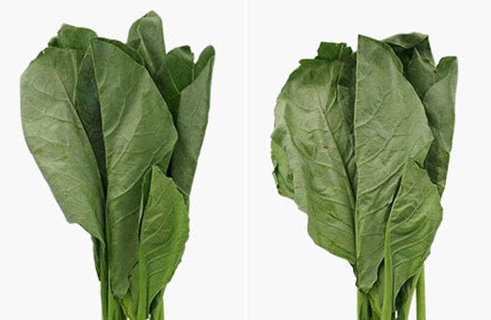 Tủ lạnh Side by Side Hitachi Inverter 590L R-M800PGV0 Tủ lạnh Side by Side Hitachi Inverter 590L R-M800PGV0