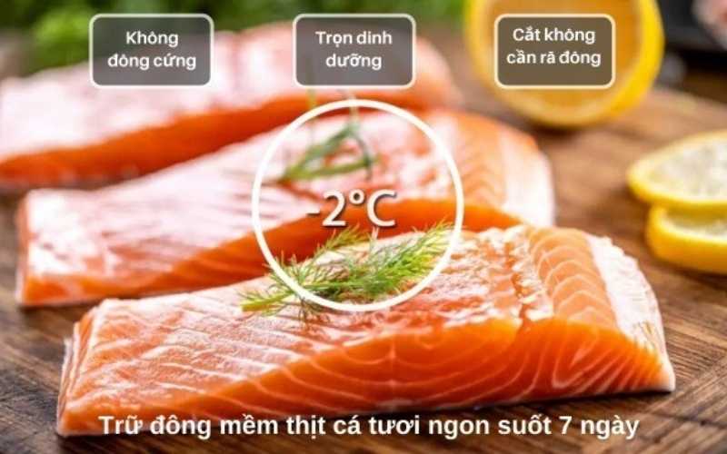 Phân phối luồng khí đồng đều, bảo quản thực phẩm lâu dài mà không làm mất đi giá trị dinh dưỡng