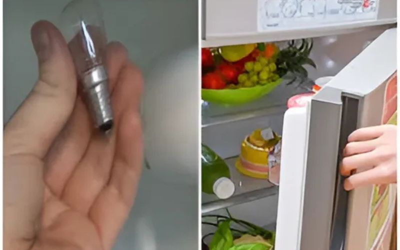 Bóng đèn tủ lạnh bị cháy, khiến đèn không sáng dù tủ vẫn hoạt động bình thường Bóng đèn tủ lạnh bị cháy, khiến đèn không sáng dù tủ vẫn hoạt động bình thường