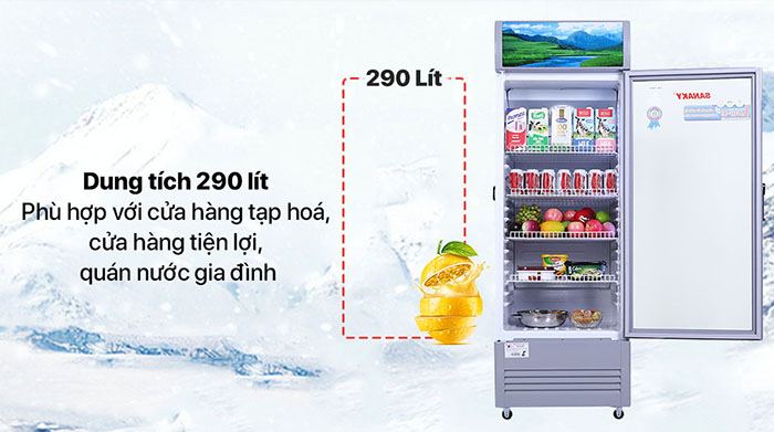 Tủ mát Sanaky 290 Lít VH-358KL