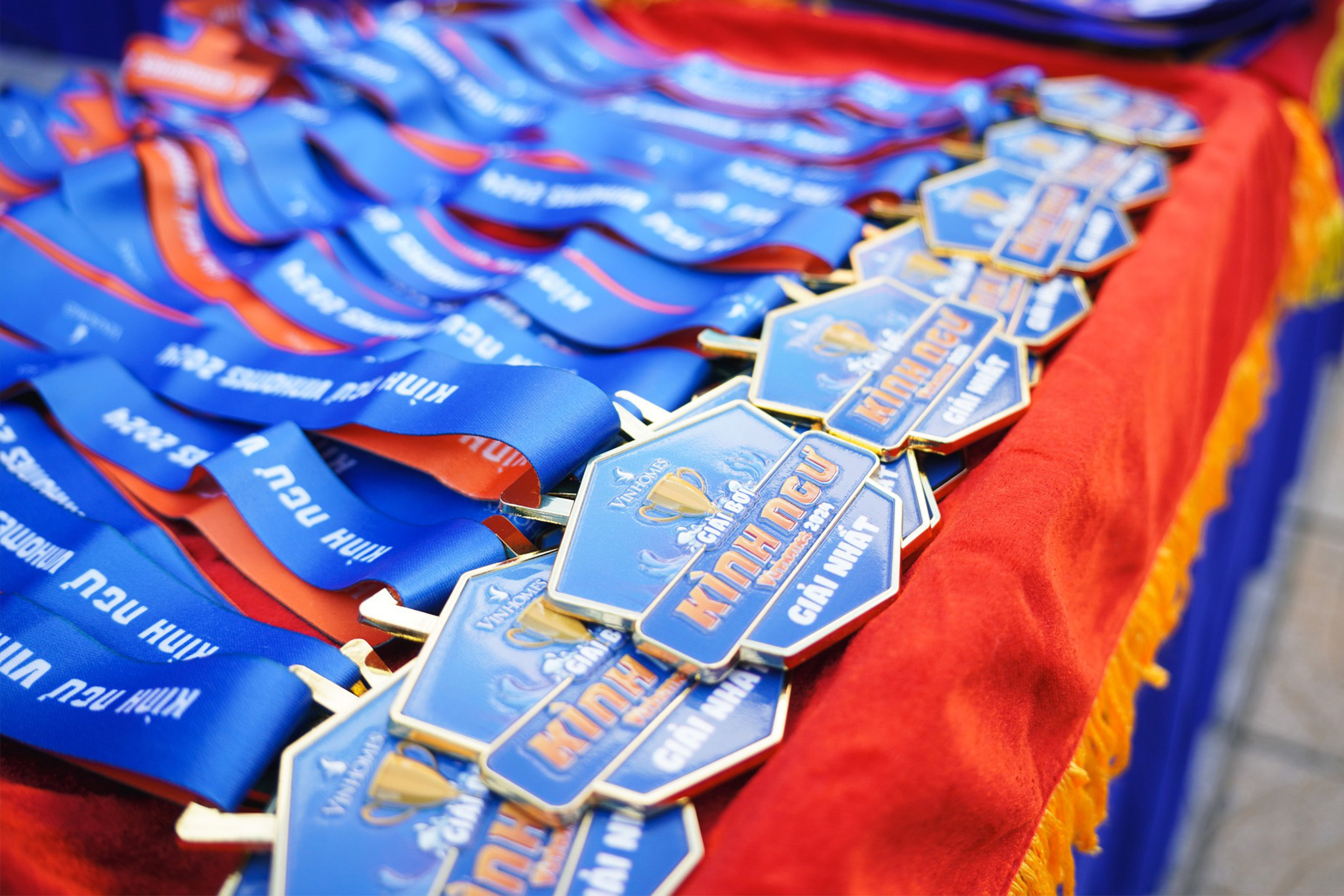 Giải bơi Kình Ngư Vinhomes 2024