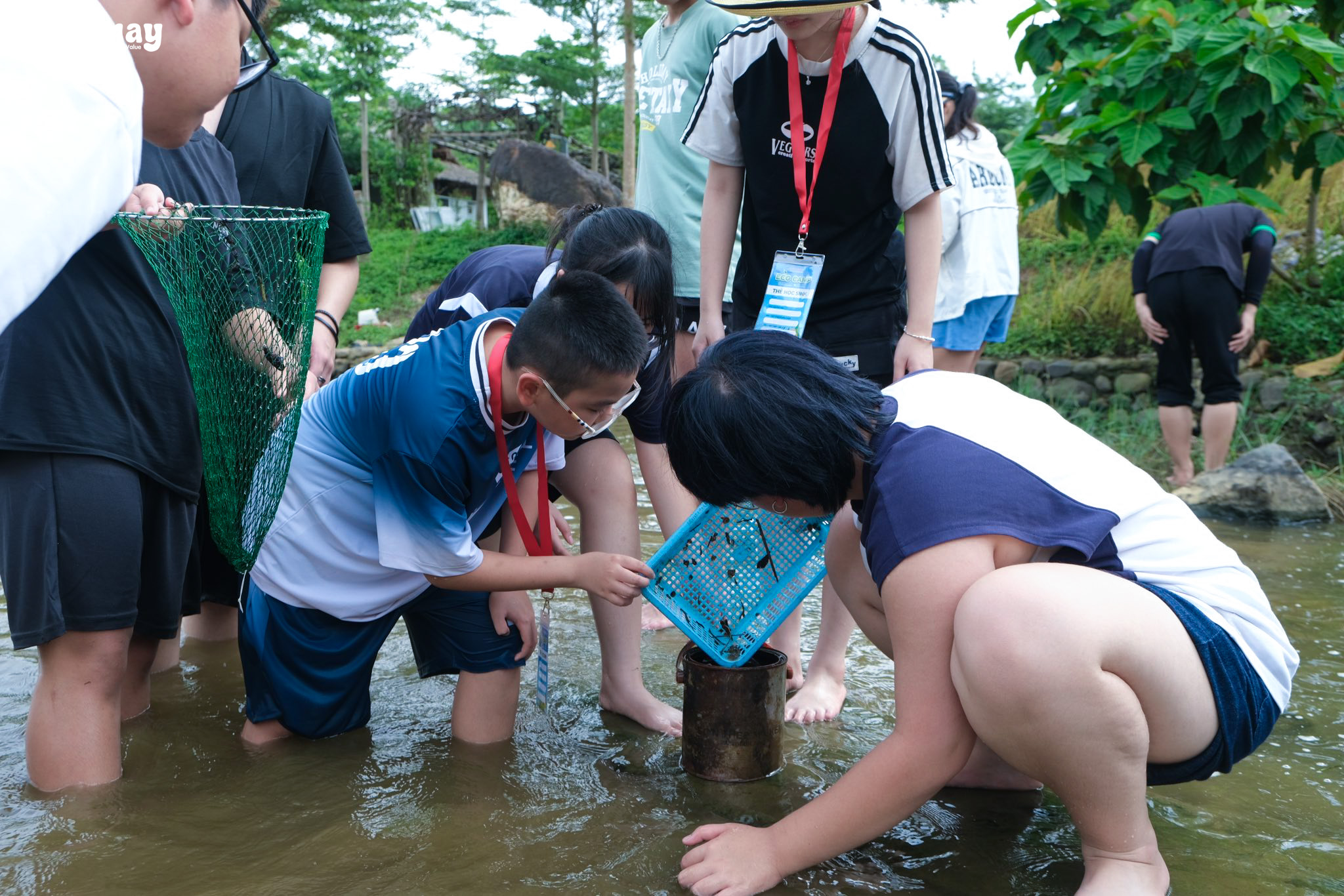 HÀNH TRÌNH KHÁM PHÁ THIÊN NHIÊN XANH TẠI BA VÌ
