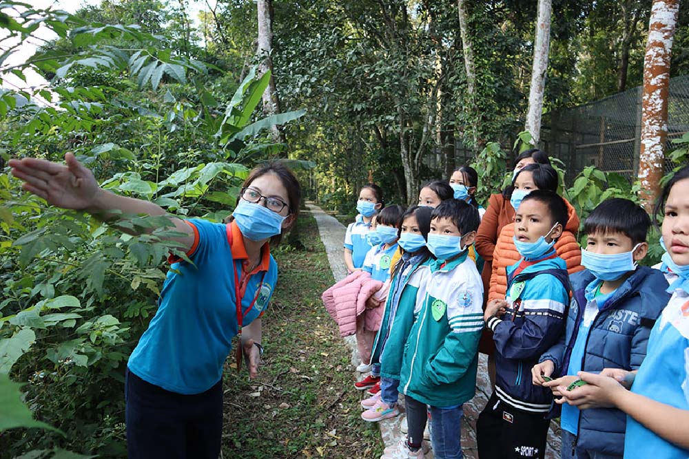 KHÁM PHÁ VƯỜN CÚC PHƯƠNG