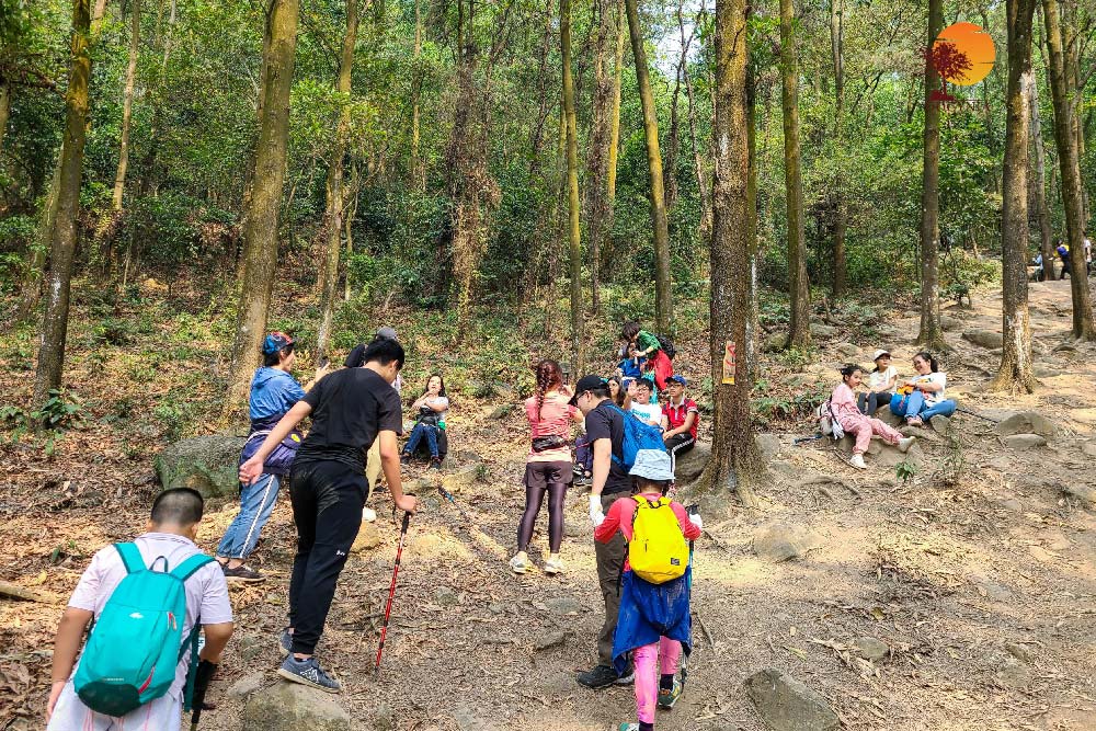 TREKKING NÚI HÀM LỢN ( 1 ngày )