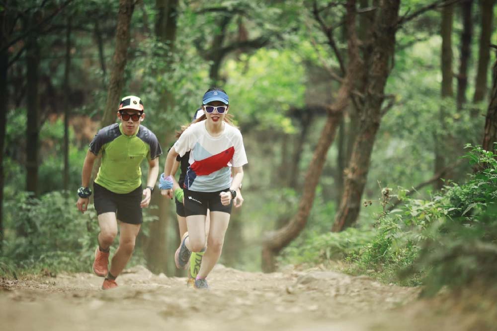 TREKKING NÚI HÀM LỢN ( 1 ngày )