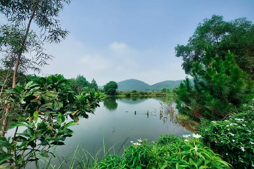 CẮM TRẠI THIÊN PHÚ LÂM