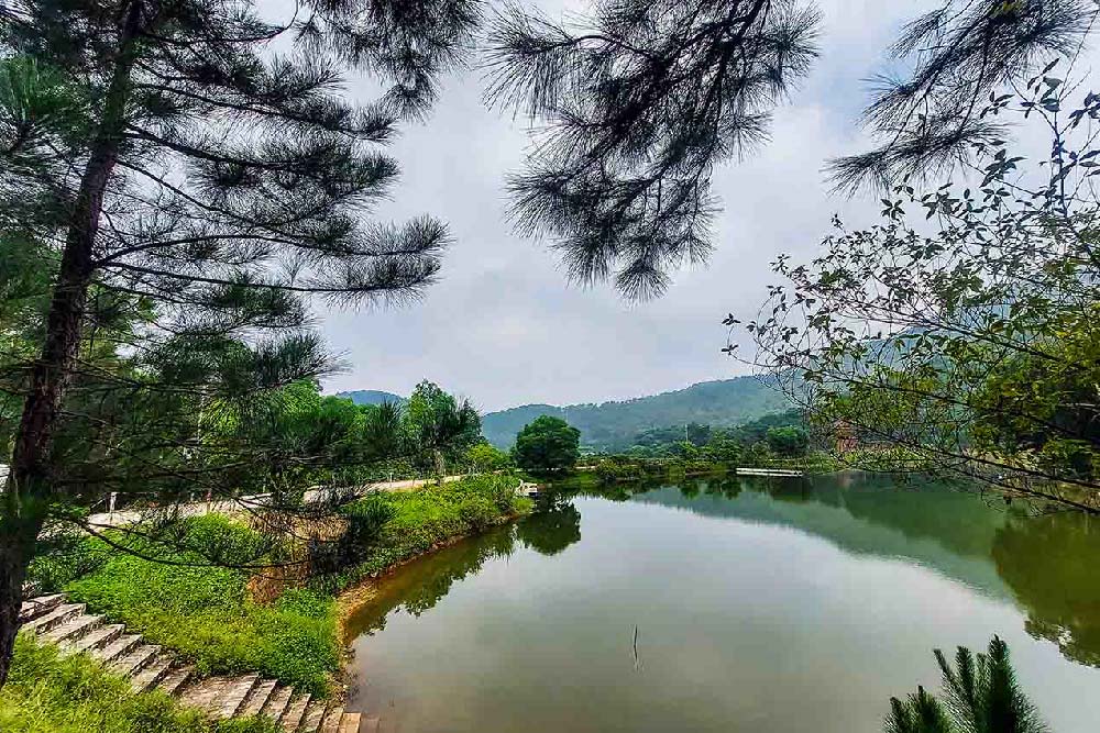 CẮM TRẠI THIÊN PHÚ LÂM