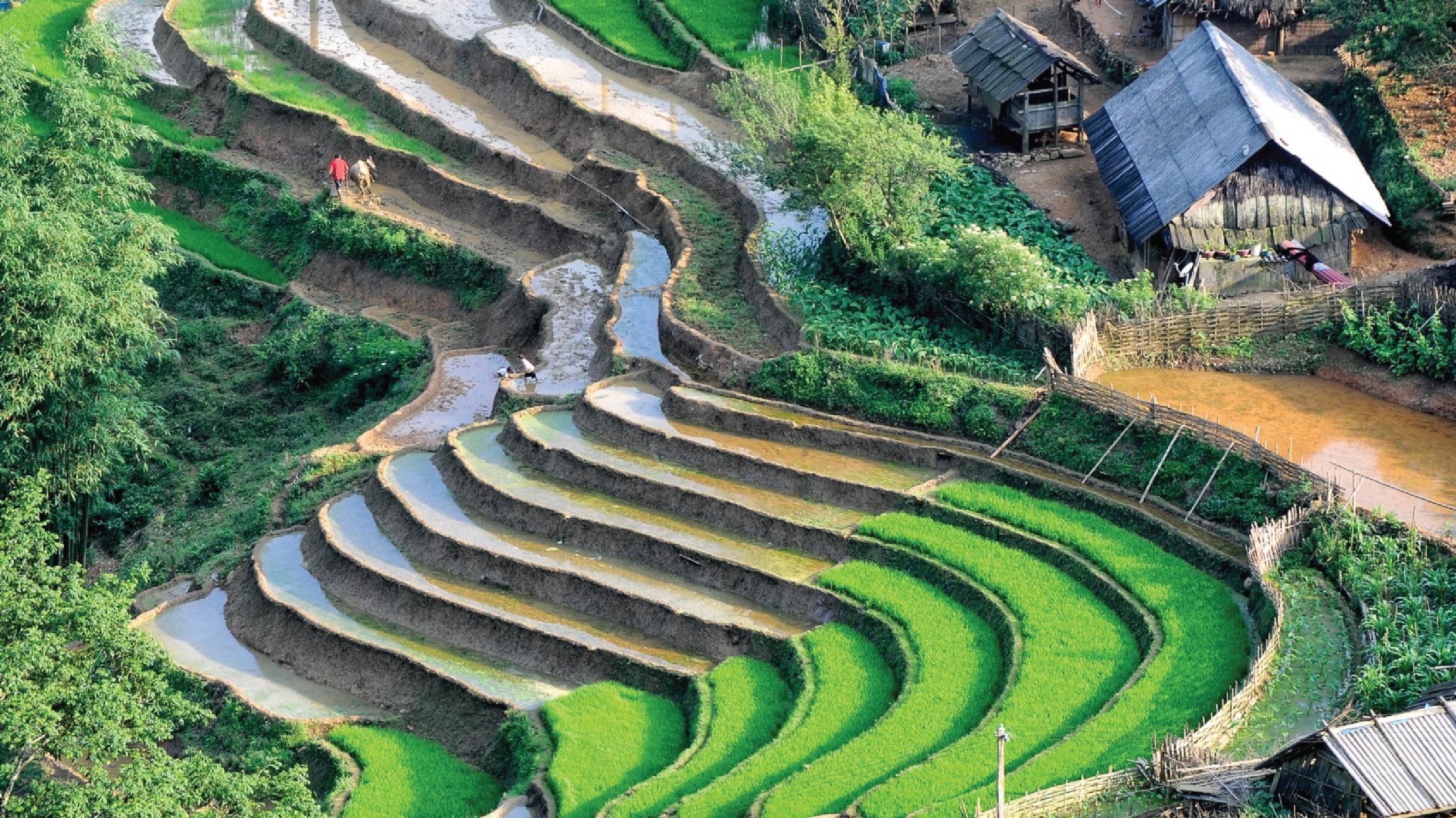 MAI HỊCH -  HÀNH TRÌNH TÂY BẮC