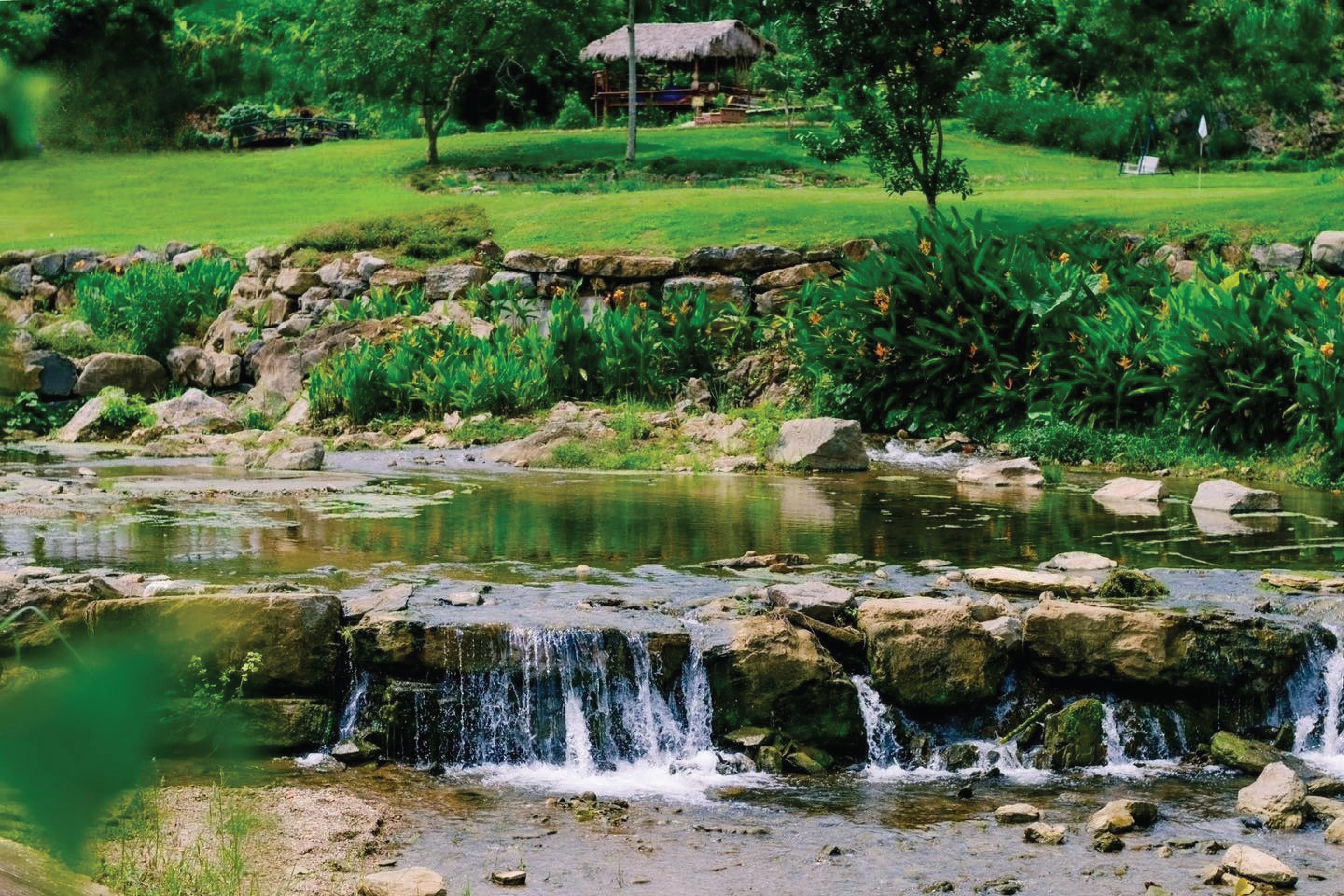 SUNNY CAMPING (1 NGÀY)