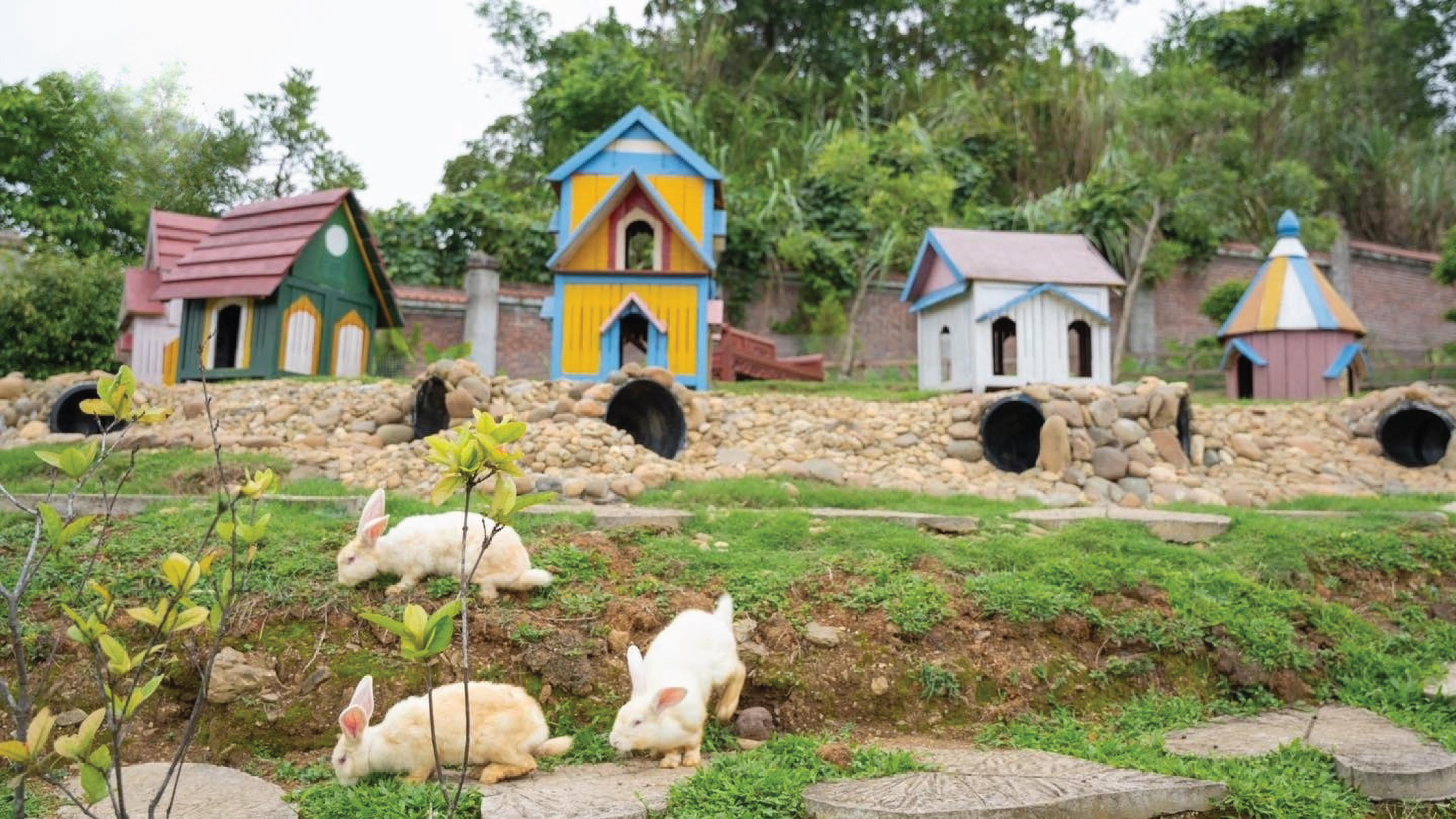 SUNNY CAMPING (1 NGÀY)