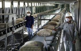 Ngành xi măng Việt Nam bứt phá trở lại sau giai đoạn khó khăn