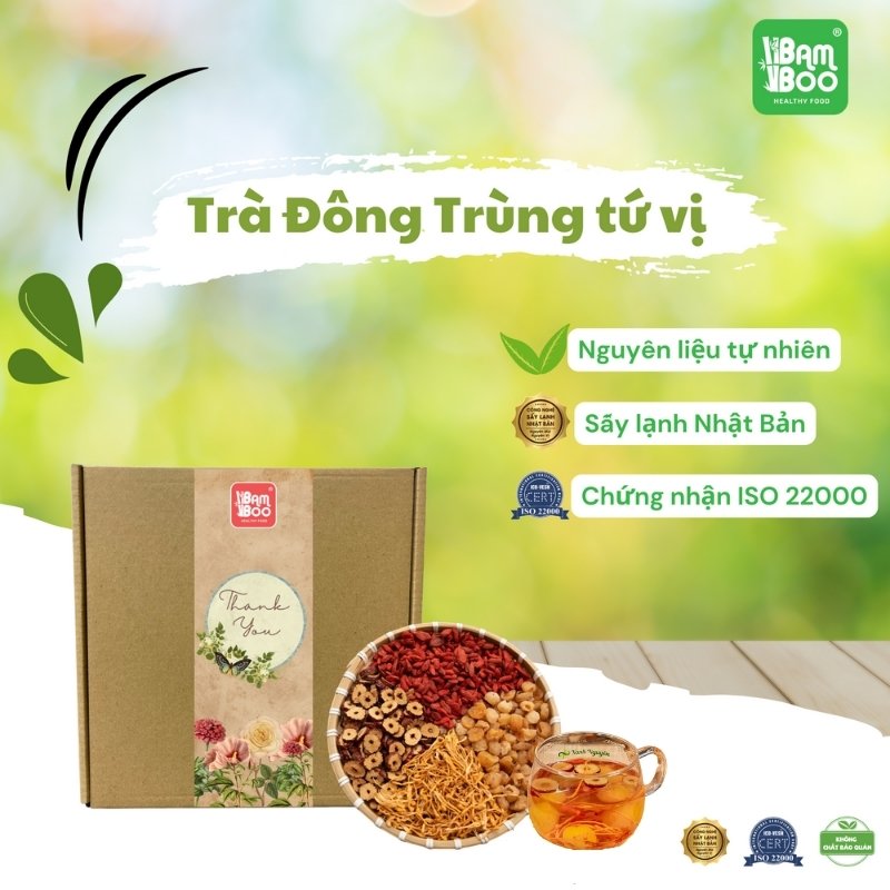 Trà đông trùng hạ thảo tứ vị bồi bổ sức khỏe