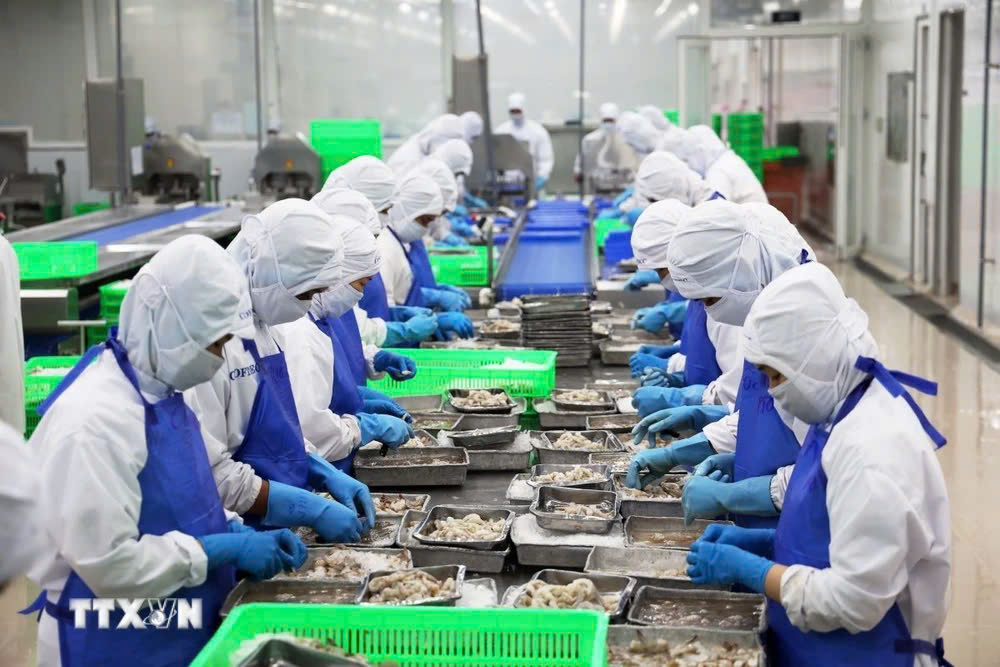 Tôm Việt Nam bị Hoa Kỳ áp thuế chống bán phá giá lên tới 35,29%