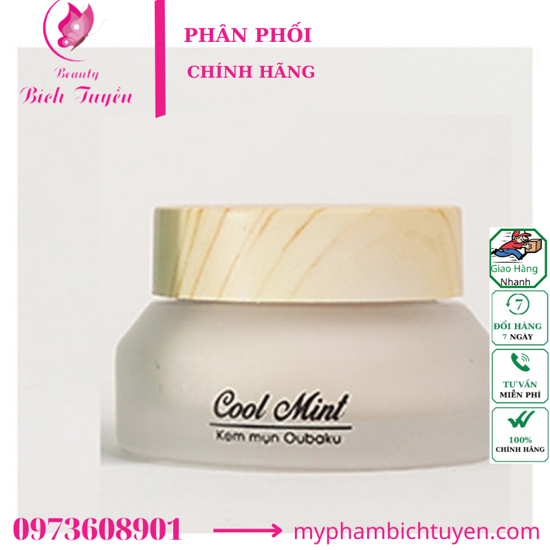 KEM TRỊ MỤN COOL MINT ANCE CREAM 15g
