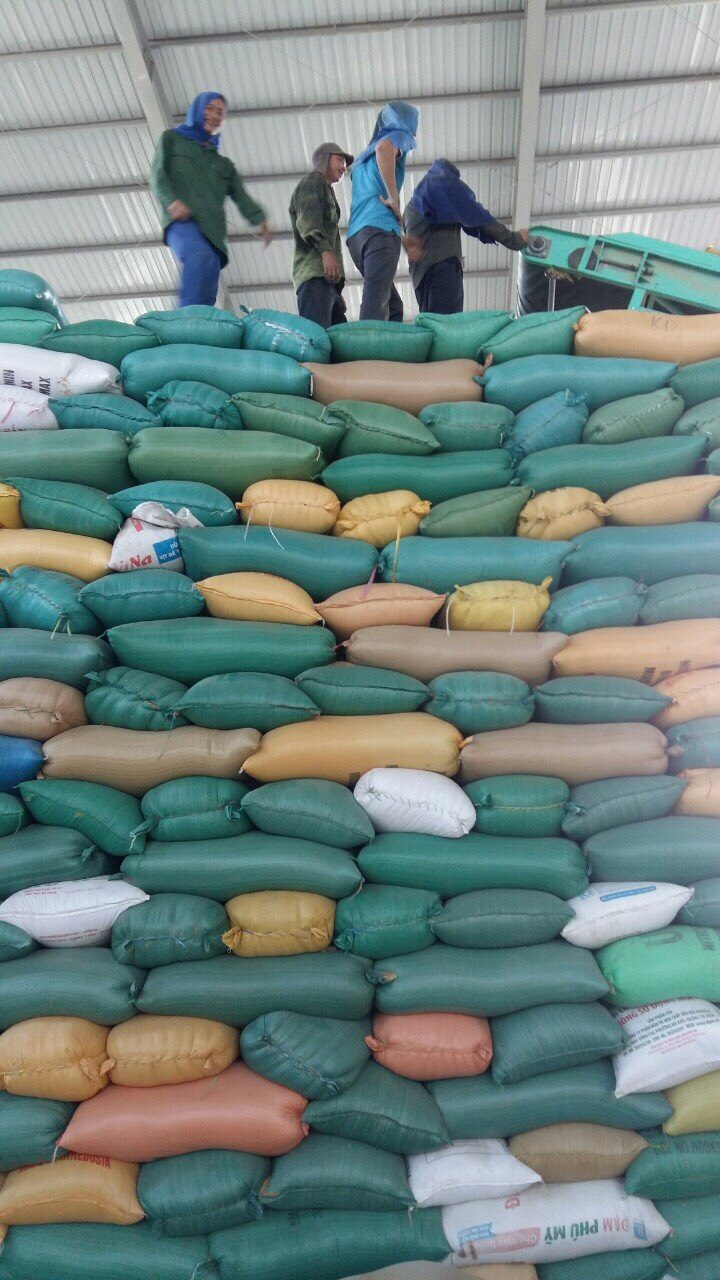 Thực phẩm bếp ăn công nghiệp - Gạo bếp ăn