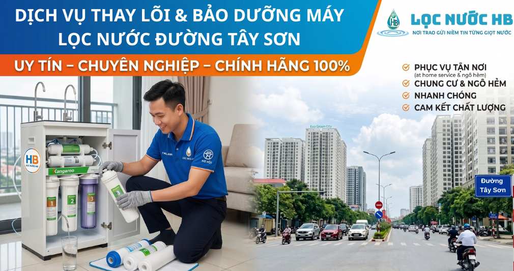 Dịch Vụ Thay Lõi Và Sửa Chữa Máy Lọc Nước Tại Đường Tây Sơn