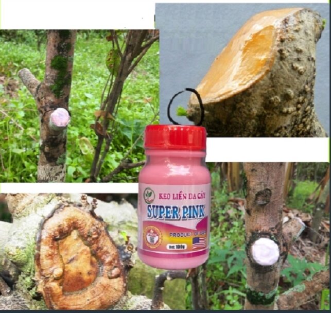 Keo liền da cây SUPER PINK 100G - nguyên liệu Mỹ