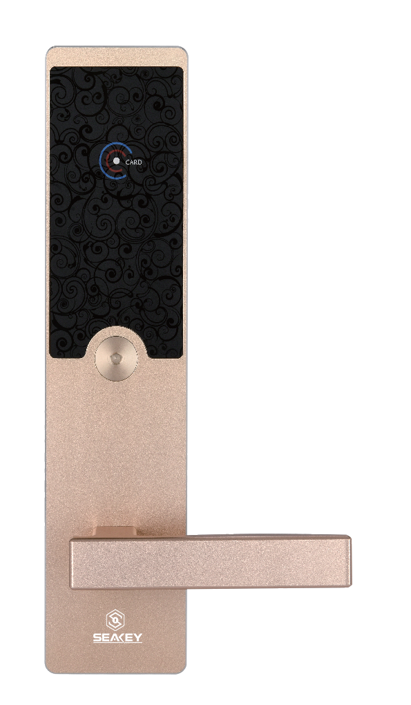 KHÓA THẺ TỪ H9M