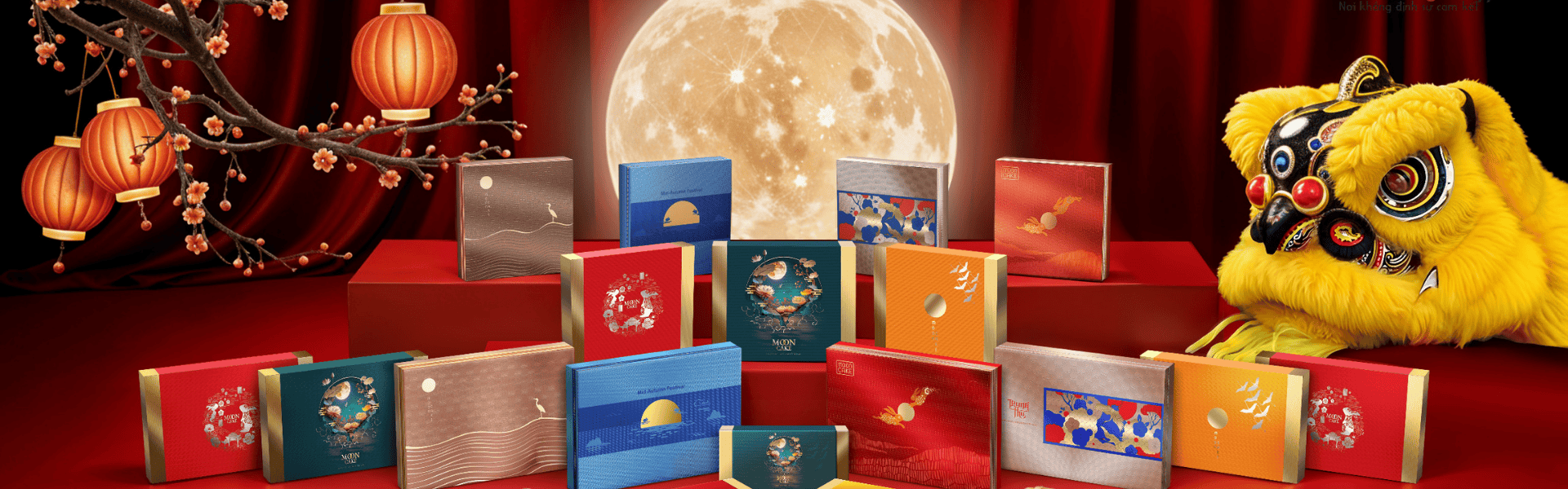 section_video_bg