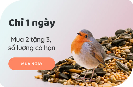 banner_group_1_3.jpg