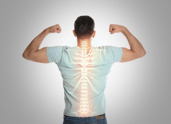 Phòng phong: Bảo bối chăm sóc sức khỏe xương khớp