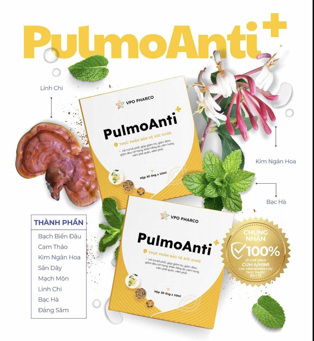 PulmoAnti+ - Thực phẩm bảo vệ sức khoẻ, trị cúm và COVID-19